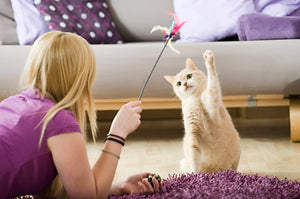 WHY PET TOYS ARE ESSENTIAL FOR PETS