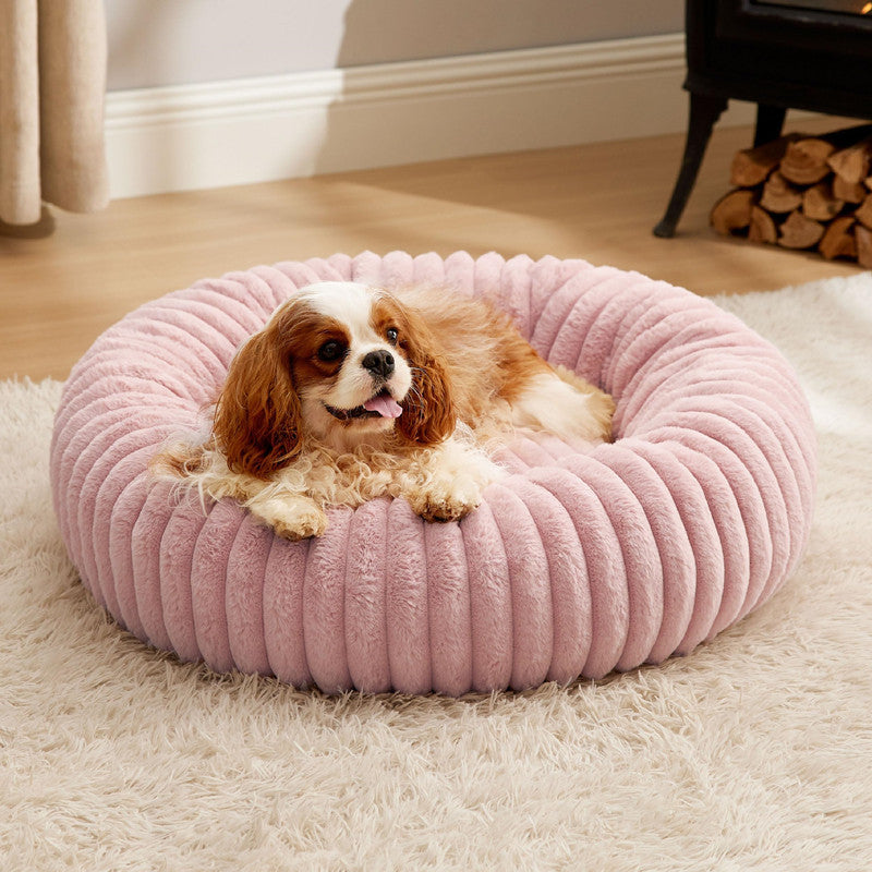 216d8664848d0b90f5a5776269f96e80