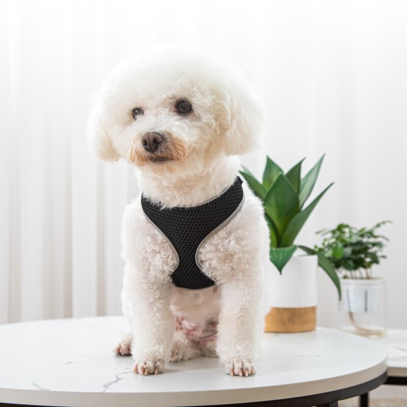 ab4a892d1026d2a943a6157648825d24
