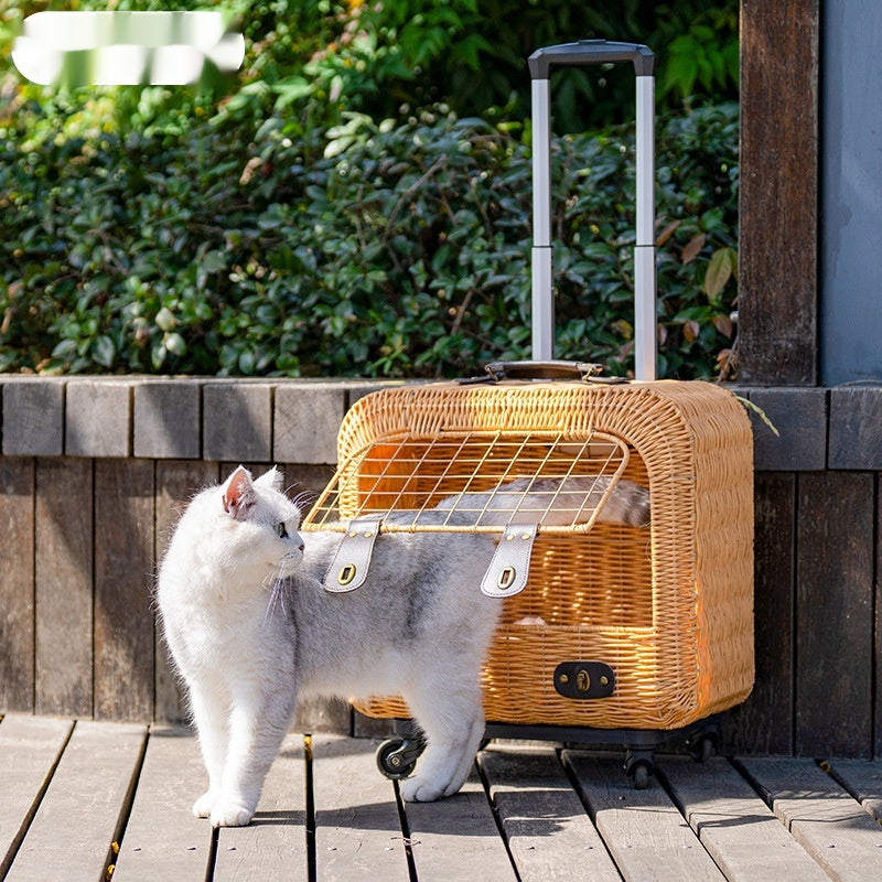 264b2e75042625a57612c23068ce4468